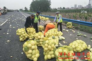 恩平网红吃瓜群众视频,揭秘当地热门事件背后的真相